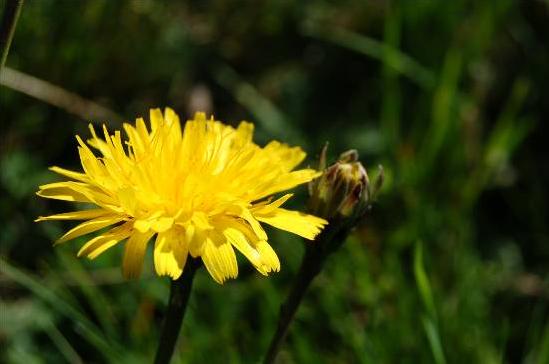Auvergne - cliquez pour agrandir